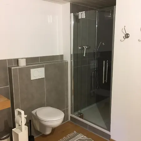 Appartement Fuchs Und Has' Gaestehaus Feldberg (Baden-Wurttemberg)