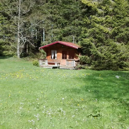 Apartment Fuchs Und Has' Gaestehaus Feldberg (Baden-Wurttemberg)